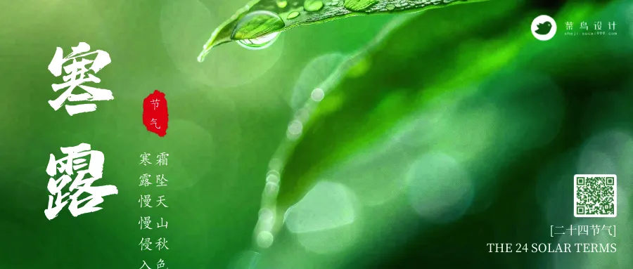 寒露公众号首图