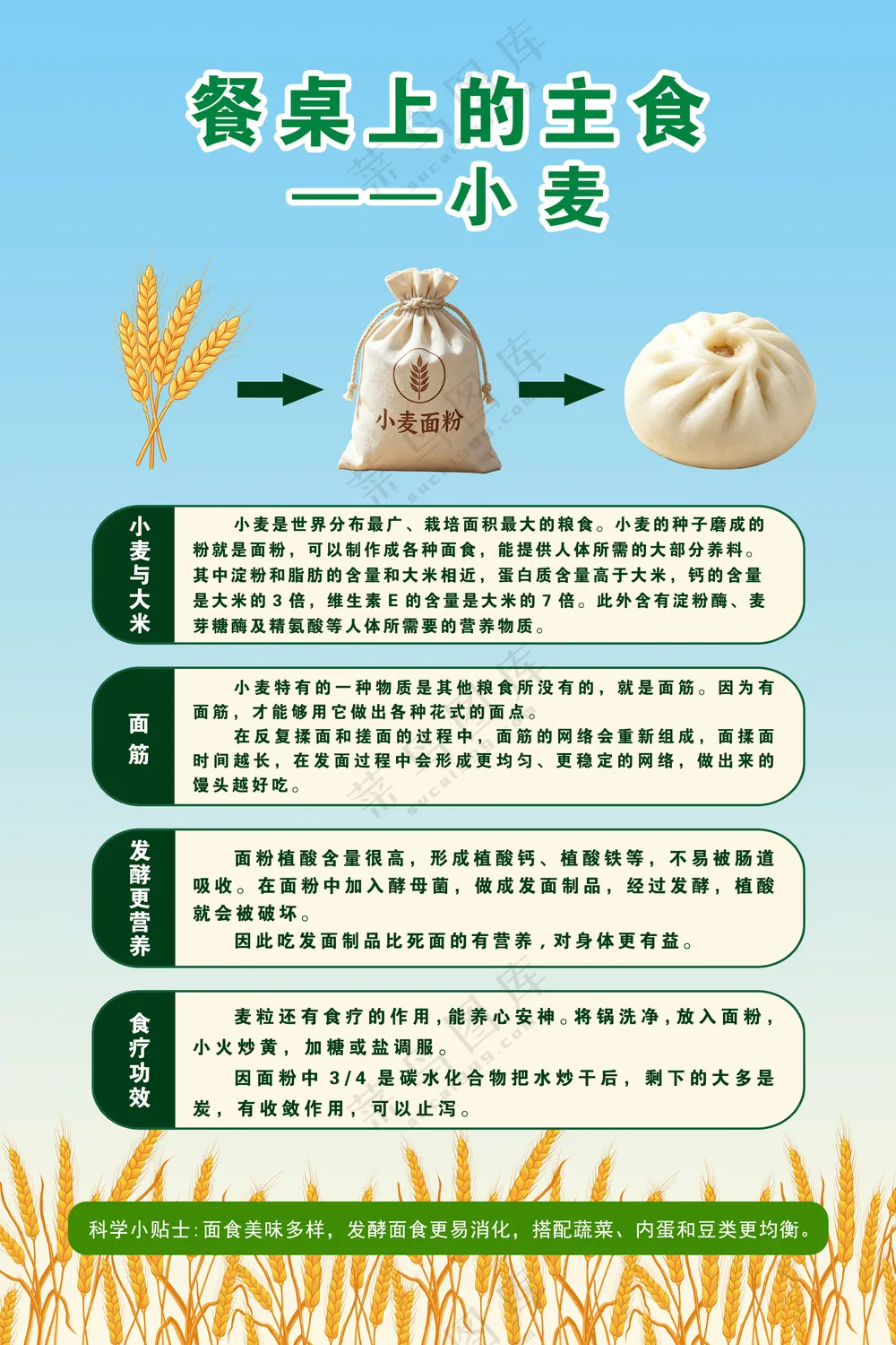 蓝黄简约面粉的营养与制作