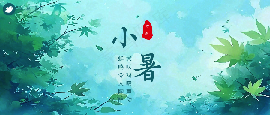 小暑公众号首图