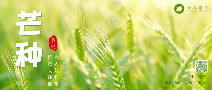 芒种公众号首图