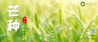 芒种公众号首图