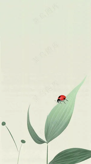 春天国风插画绿叶上的昆虫惊蛰插画背景