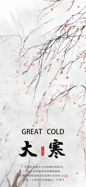 大寒传统节气海报2
