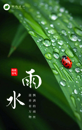 雨水手机海报