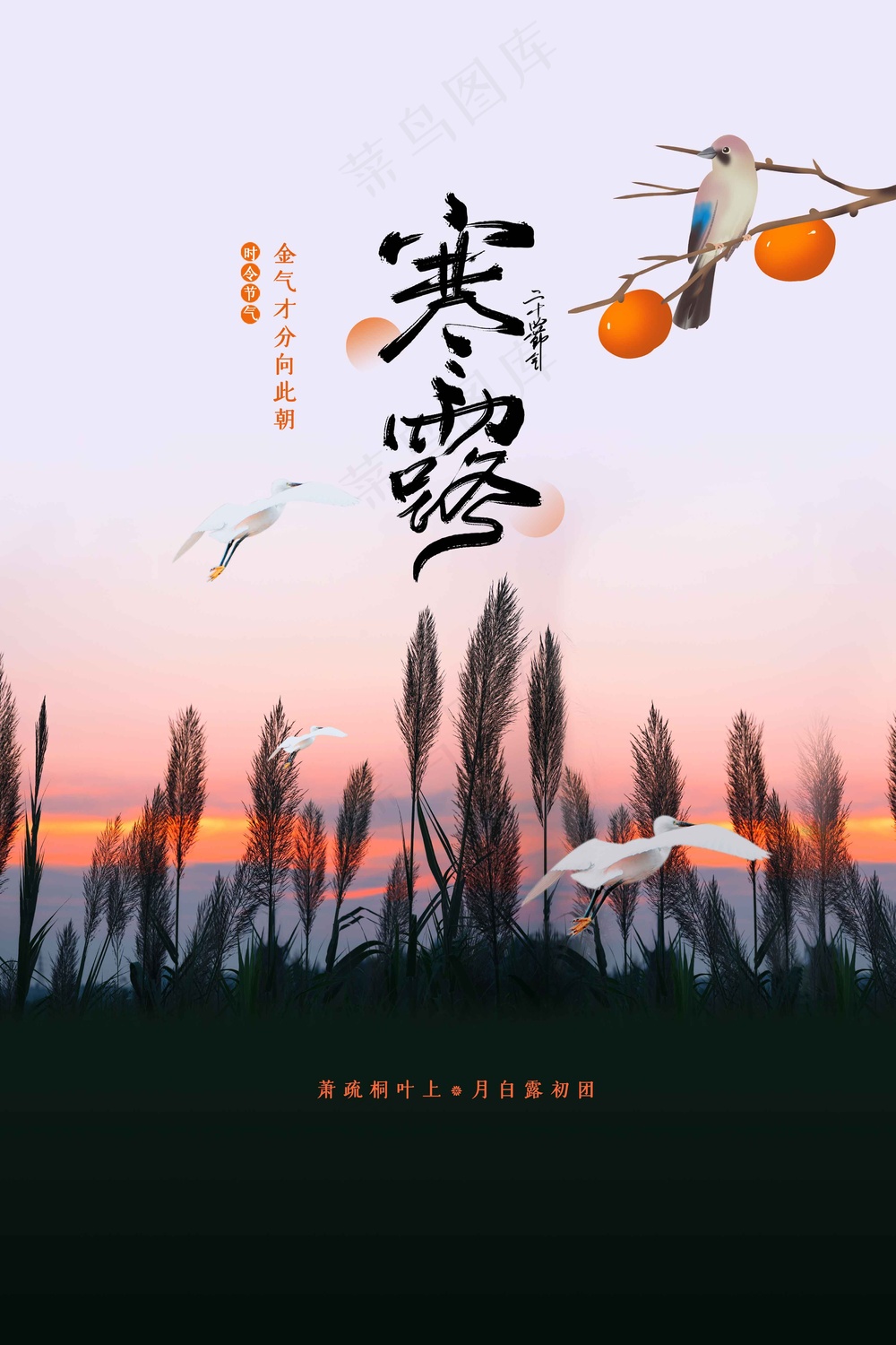 寒露节气传统活动宣传海报