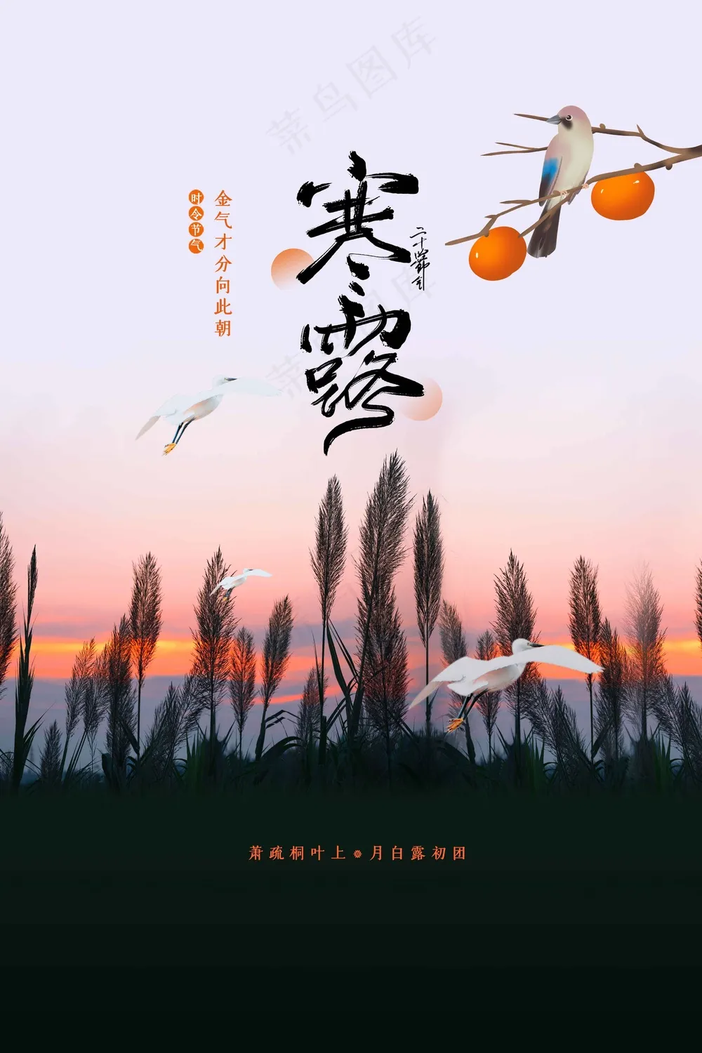 寒露节气传统活动宣传海报