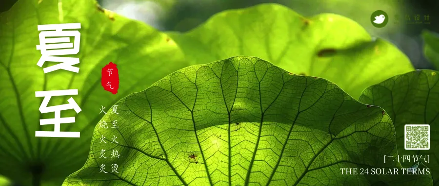 夏至公众号首图