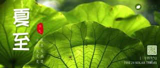 夏至公众号首图