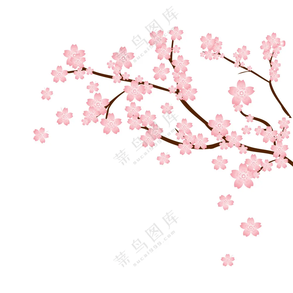 唯美樱花枝条设计