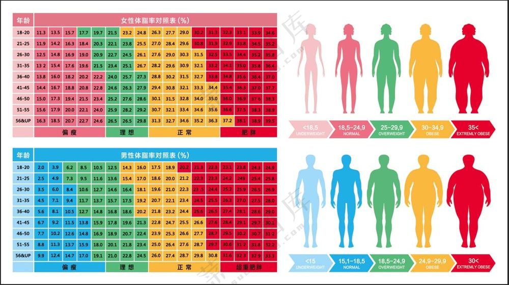女 男 体脂率 对照表 加