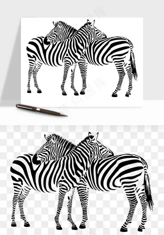 斑马动物png免抠