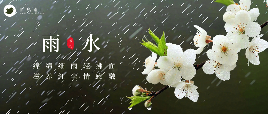 雨水公众号首图