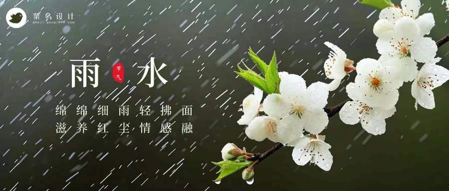 雨水公众号首图
