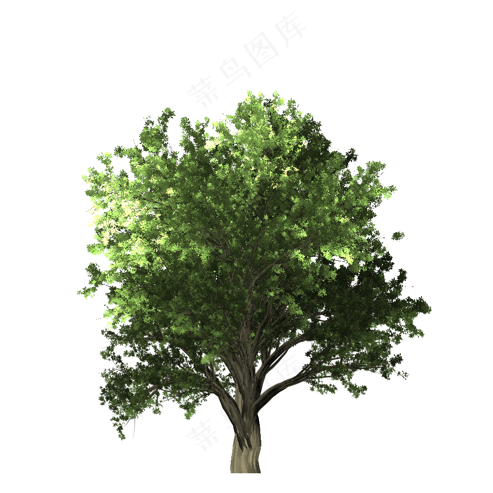 装饰树免扣png