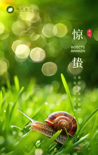惊蛰手机海报