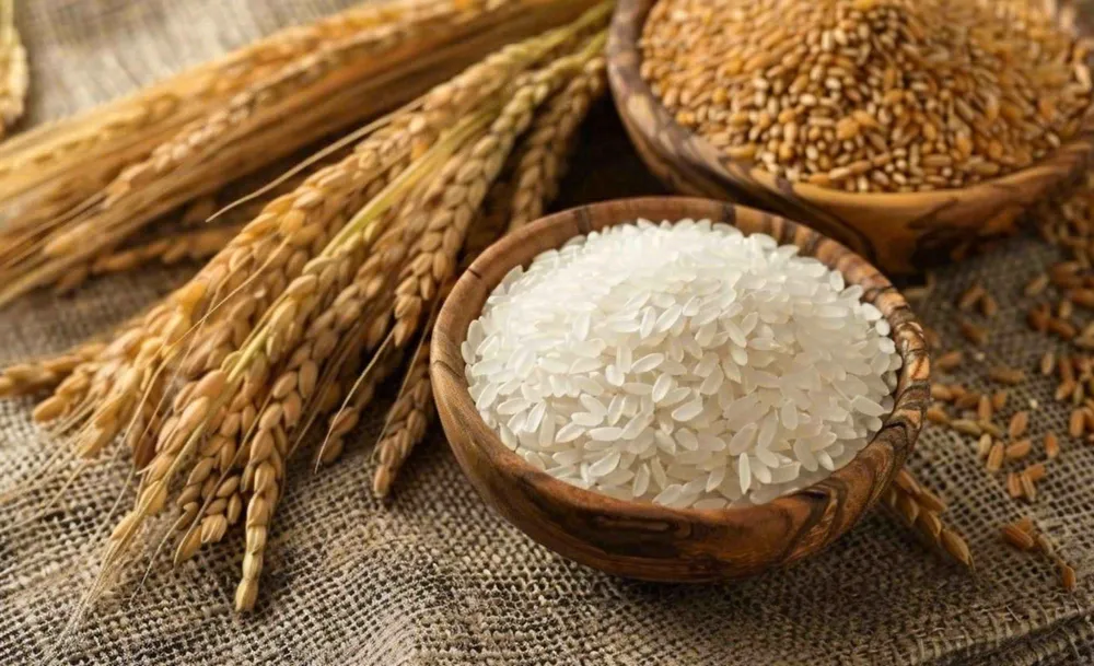 世界粮食日谷物米饭稻谷小麦摄影图