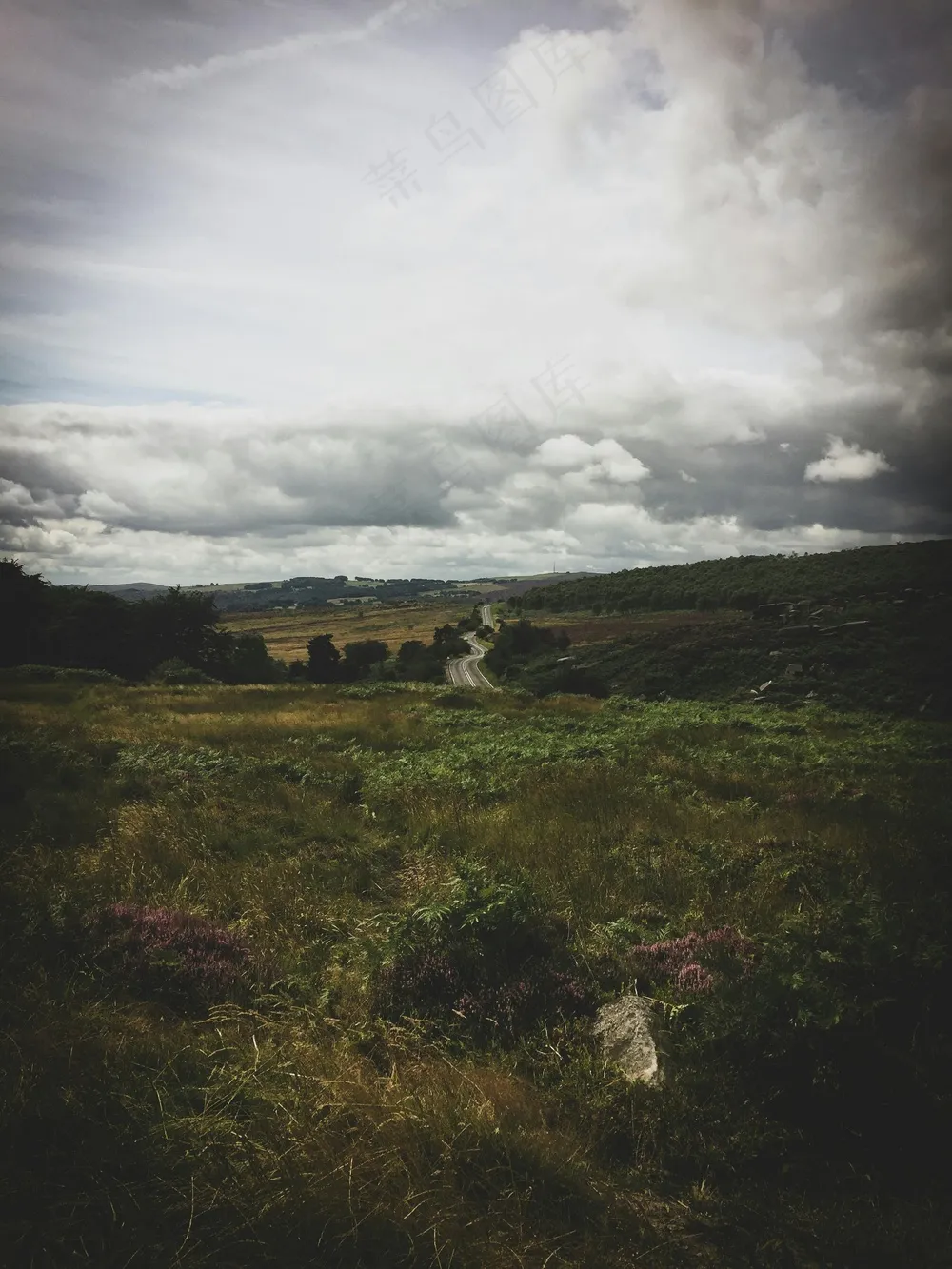 草野道途云梦绘·寂静灰紫风景图