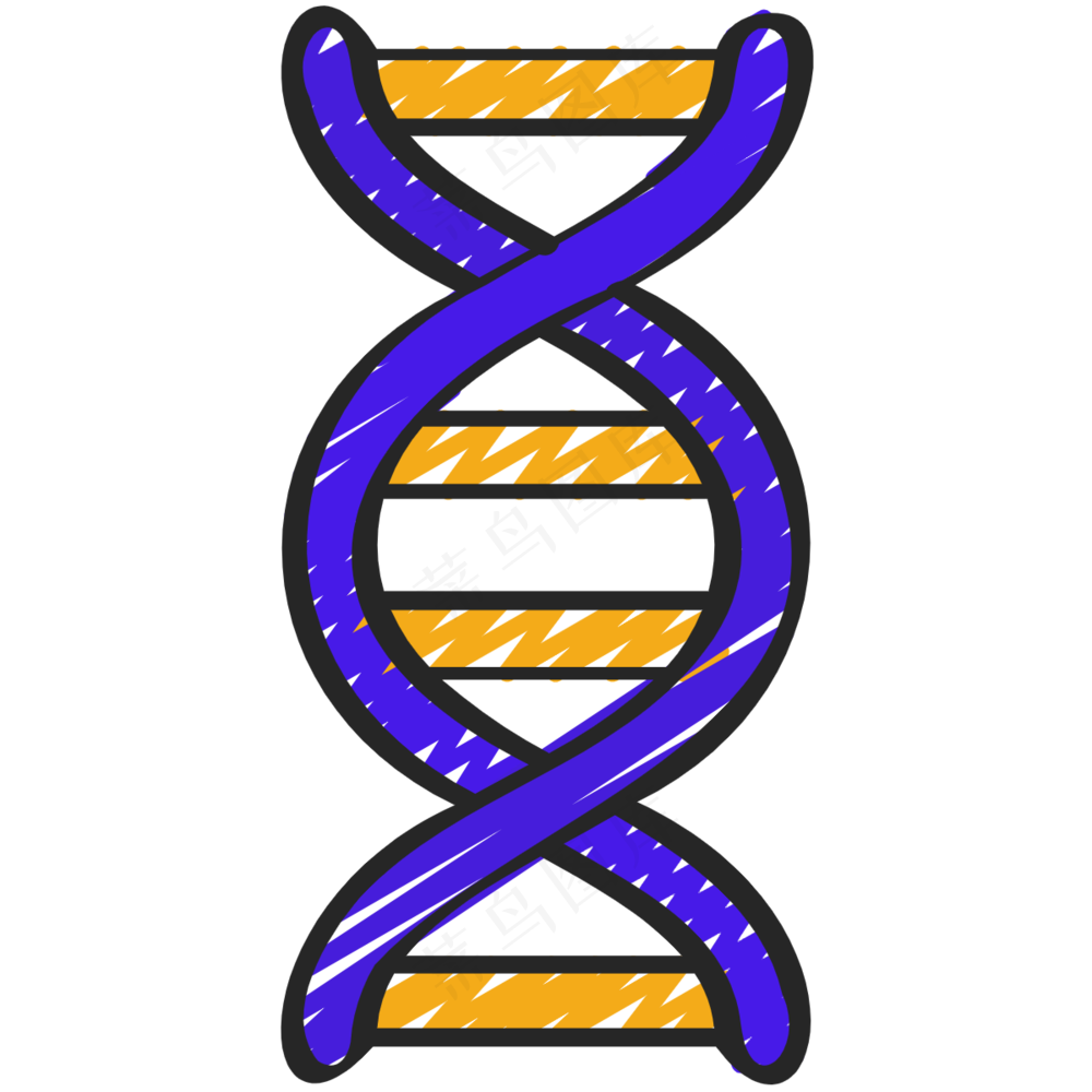 DNA 铅笔手绘图标icon