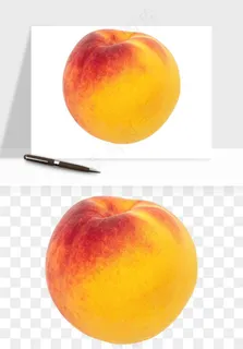 桃子油桃黄桃水果png免抠 桃子油桃黄桃水果png免抠