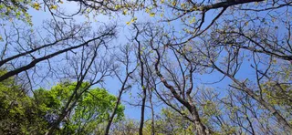 春风送暖天气爽