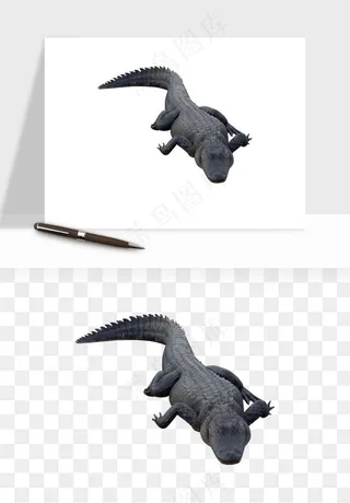 鳄鱼动物png免抠