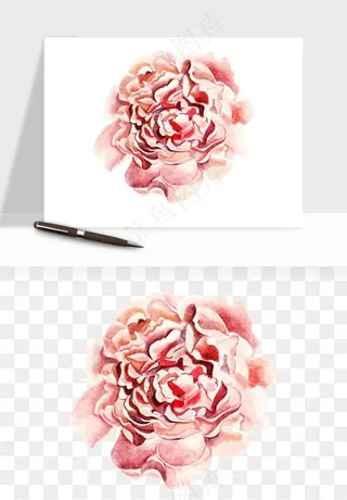 水彩复古花卉png免抠