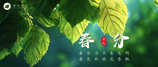 春分公众号首图