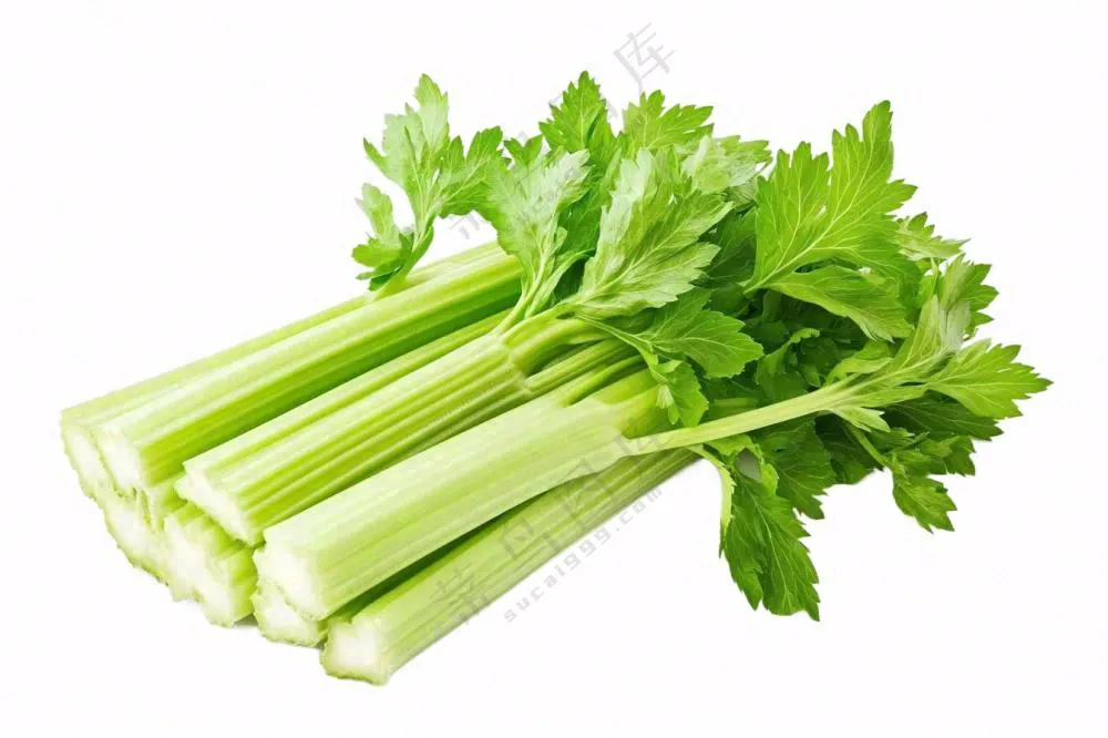芹菜蔬菜免抠