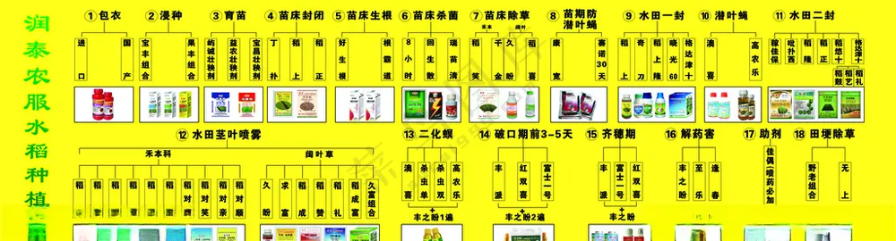 水稻种植方案水稻种植方案PSD分层素材
