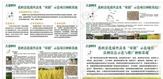 夫妻树品牌 水稻种植优质丝苗米CDR海报