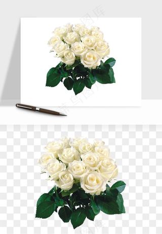 白玫瑰花枝花束png免抠