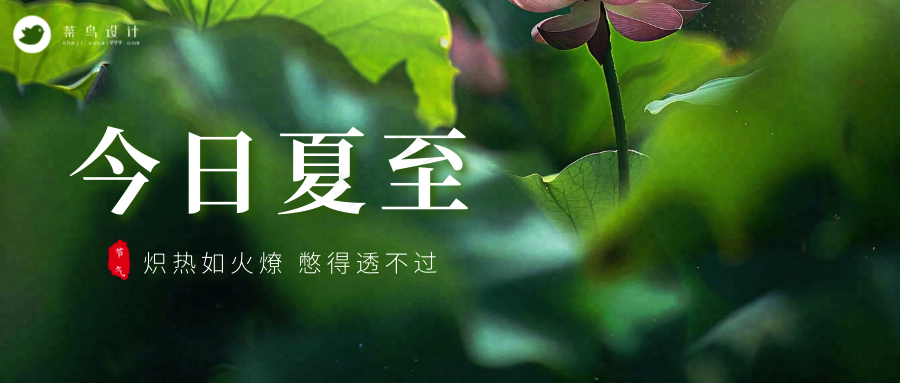 夏至公众号首图