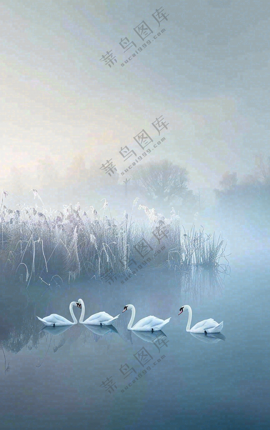 白露节气