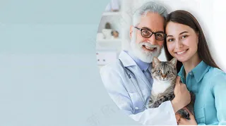 宠物医院猫狗生病救治摄影图