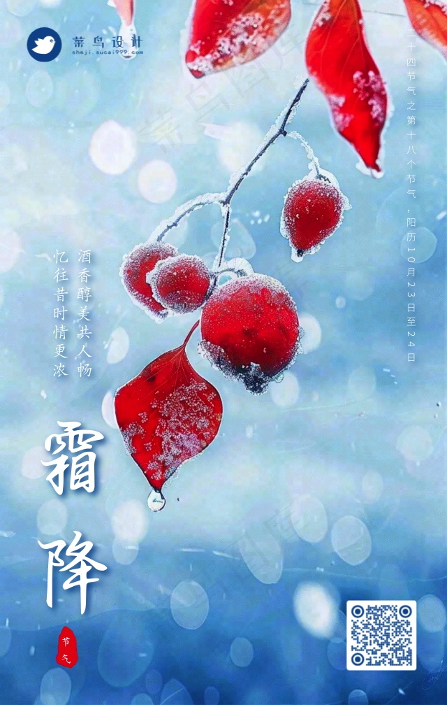 寒露手机海报