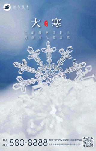大寒手机海报