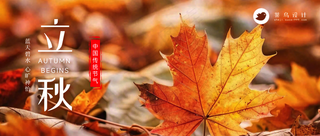 立秋公众号首图
