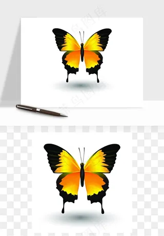 蝴蝶昆虫矢量png免抠