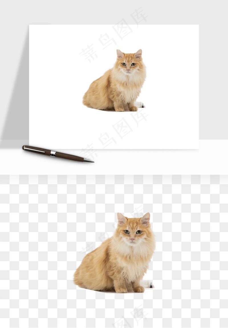 猫咪喵星人狗狗宠物元素png免抠