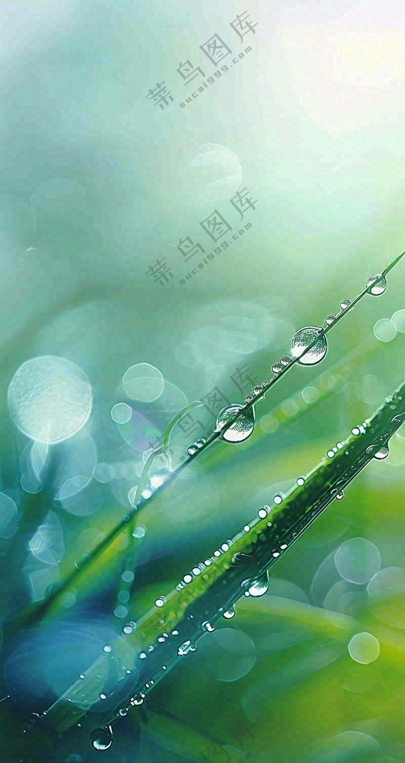 白露节气