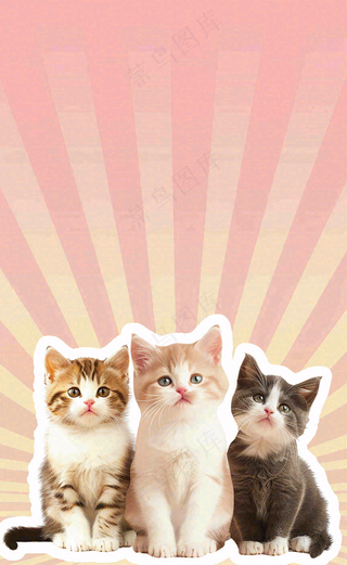 宠物常识宠物攻略猫狗卡通插画背景