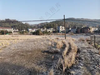 冬天乡村早上，满田白白的霜