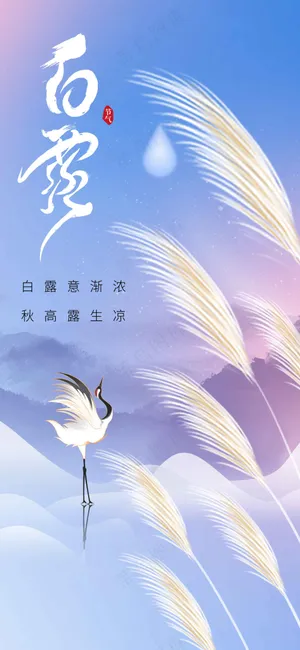 白露节气传统活动海报