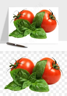 西红柿番茄圣女果png免抠