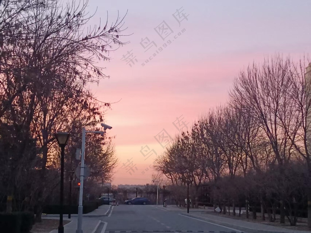 紫粉的天空
