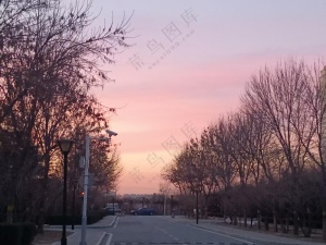 紫粉的天空