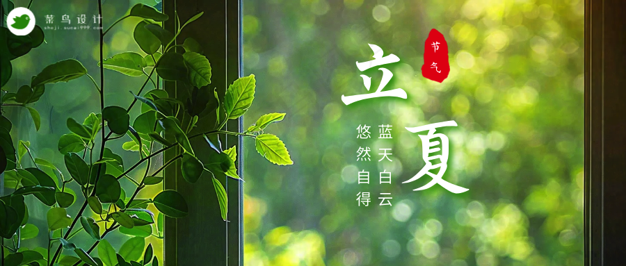 立夏公众号首图