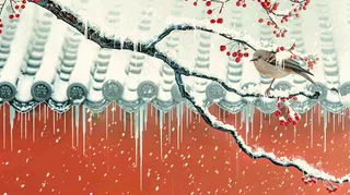 冬季大雪纷飞红色宫墙梅花枝条的小鸟国风插画立冬冬至大雪背景