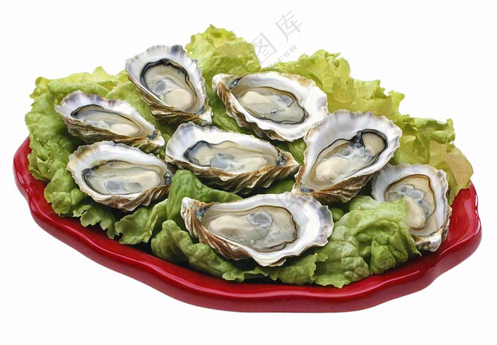 时蔬生蚝海鲜摄影图免抠