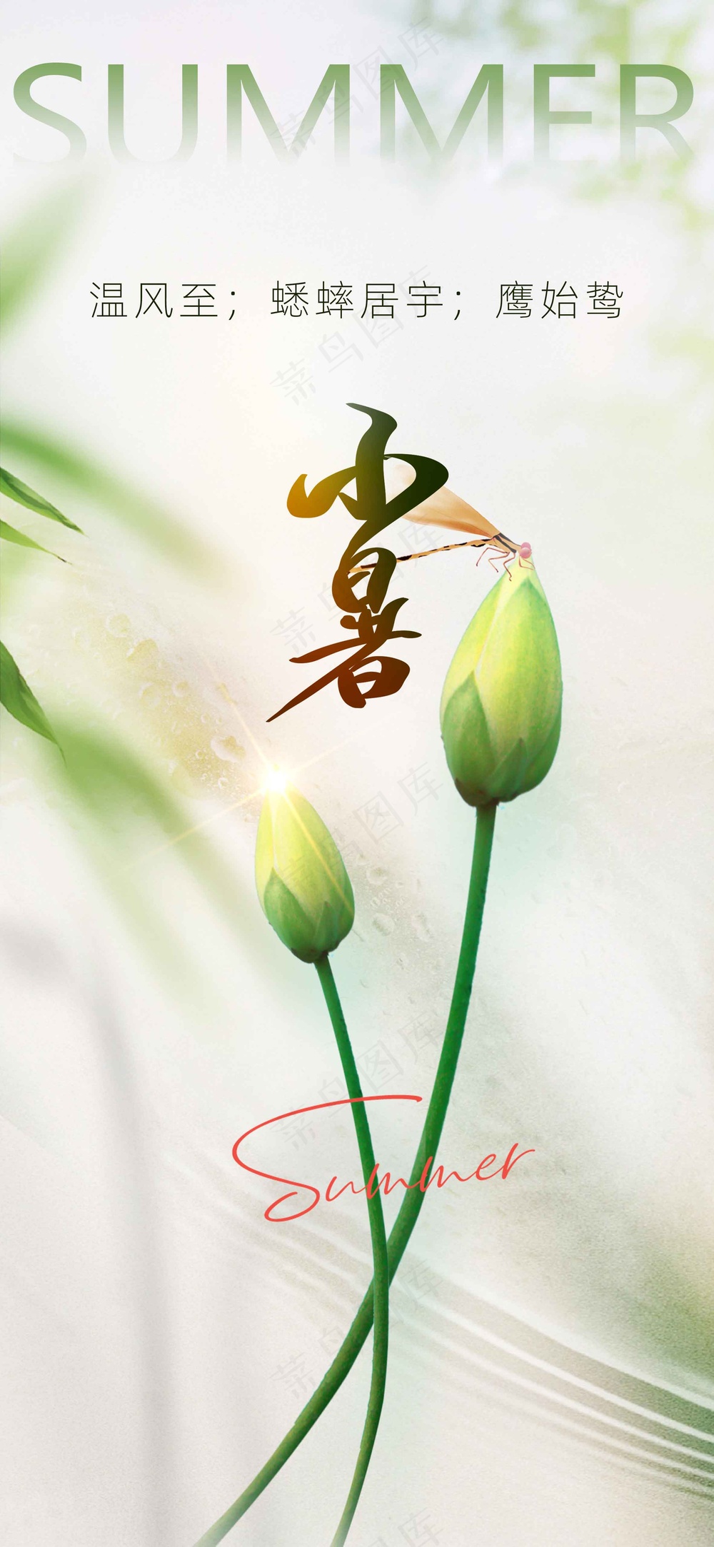 小暑节气传统活动海报